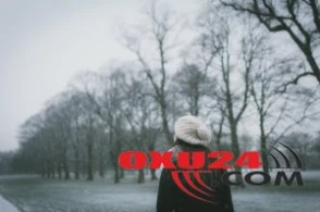 Maraqlı görüntülər qeydə alındı - Yadplanetli gəmisi?