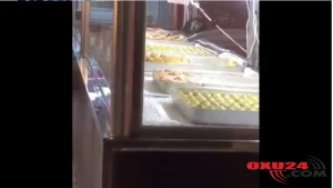 Bakının məşhur şirniyyat evində iyrənc mənzərə: Vitrində siçovullar gəzir