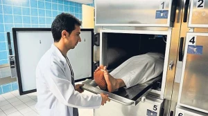 Ölümdən sonra 3 gün içində hüceyrələr insanı yox etməyə başlayır