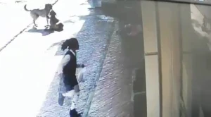 Azərbaycanlı gənc klubdan qayıdan afrikalı qızlara hücum etdi