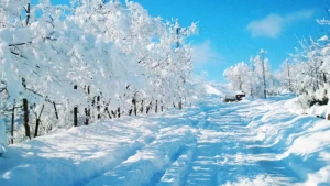 Bu günün Hava proqnozu