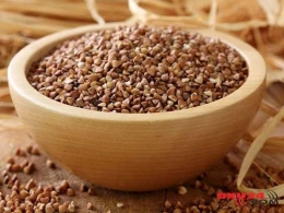 Bütün dövrlərin ən SAĞLAM QİDASI