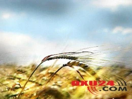 Bu gün Azərbaycanda Yel çərşənbəsidir