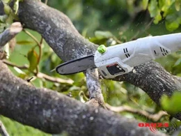 21 yaşlı qız pul almaq üçün qolunu kəsdirdi