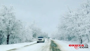 Külək, yağış, qar, 5 dərəcə şaxta - SABAHIN HAVASI