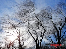 Bakıda güclü külək, rayonlarda qar - HAVA PROQNOZU