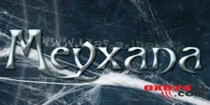 Daha bir meyxanaçı ilə bağlı üzücü xəbər