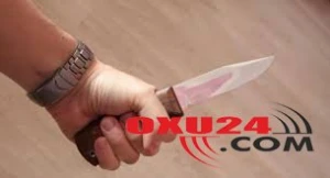 Bacısını evdə yad kişi ilə tutdu, ikisini də öldürdü — Göygöldə qanlı cinayət