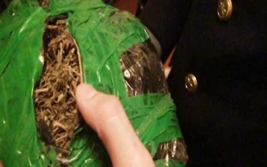 Kirayə yaşadığı evindən 18 kq narkotik çıxdı - Foto