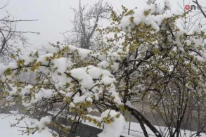 Hava xəbərdarlığı:Qar YAĞACAQ!