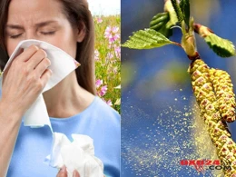 Yaz allergiyasının təbii vasitələrlə müalicəsi - Resept