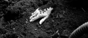 Azərbaycanda ŞOK Cinayət:Gənci öldürüb,meyiti balta ilə şaqqalara ayırıb 3 rayonda basdırdılar