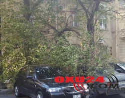 Azərbaycanlı müğənni ərini maşında başqa qadınla tutub: Ağacların arasında... - FOTO