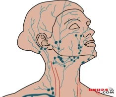 Bir çox xəstəliyi müalicə edən MASAJ