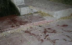 Bakıda parkda dəhşətli hadisə