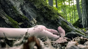 Azərbaycanda dəhşət!Gəncin sinəsinə xaç çəkib, boynunu sındırdılar,daha sonra meşədə diri-diri basdırdılar