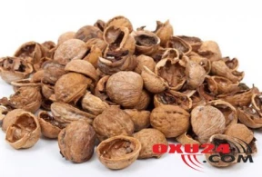 Qoz qabıqlarını atmayın! — Onun bilmədiyiniz faydaları