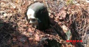 2 ildir xəbər yox idi görün necə tapıldı?