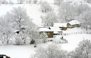 Azərbaycanın aran bölgəsinə qar yağır