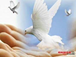 Nə vaxt güzəşt etmək lazımdır?