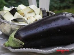 Badımcanın möcüzəvi faydaları - Suyu elə bir şeyə xeyirdir ki…