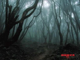 Tərtərdə meşədə dəhşətli ölüm hadisəsi