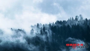 Mayın 2-nə hava proqnozu açıqlanıb