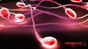 DİQQƏT! Əgər spermada bunlar varsa - Mütləq..