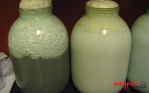 “50 yaşında dəhşətli ağrılardan ölürdüm, məni bu resept xilas etdi” – Pasiyent hekayəsi