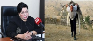 “Arxeologiya sahəsində işlədilən eşşəyə 40, fəhləyə 8 manat ayrılır” -Direktordan sensasion açıqlama