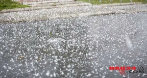 Balakən rayonuna dolu düşüb