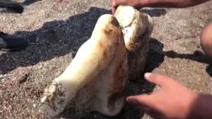 Dənizdən aslan qadın çıxdı... - Şok fotolar