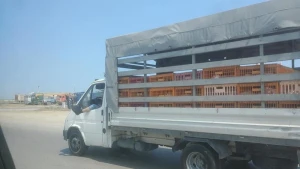 Sürücü ayağını pəncərədən çıxarıb maşın sürdü - Azərbaycanda