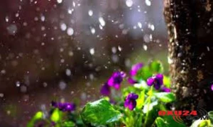 Sabahın hava proqnozu - Külək əsəcək, yağış yağacaq