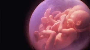 Ana bətnindəki əkizlərin bir-birinə etdiyi bu hərəkət hamını ŞOKA SALDI