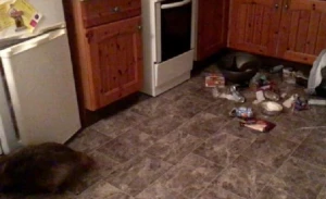 Yaşlı qadın evinə kamera YERLƏŞDİRDİ: Gözlərinə inanmadı