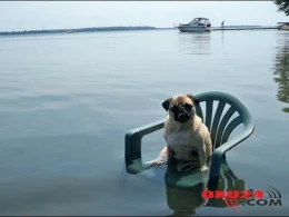 İsmayıllıda dəhşət: İki uşaq atası özünü yandırdı