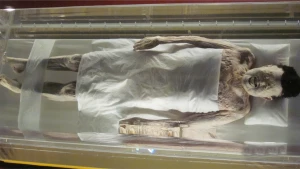 Bu görüntü hər kəsi şoka saldı: 15 il sonra qəbirdən çıxarılan şəxsin meyiti görün nə haldadır