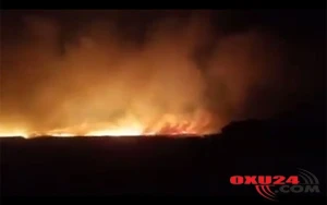 Keçmiş icra başçısının otlaq sahəsi yandı