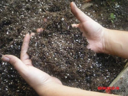 Əlləri torpaqla ovxalayıb yumaq kasıblığa səbəb olur?