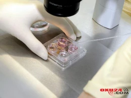 SAĞLAMLIQ Yeni naməlum ölümcül virus aşkar edildi