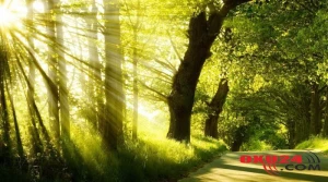 Sabaha gözlənilən hava şəraiti açıqlanıb