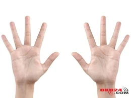 Əlləri niyə gündə bir neçə dəfə yuxarı qaldırmaq lazımdır?