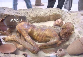 ŞOK FAKT: Cəsədi tətdiq edən alimlər şoka düşdü