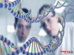 Dünya şokda - İnsanın genləri siçanla birləşdirilir