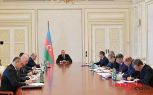 "Bəzi hallarda süni qiymət artımı müşahidə olunur" - İlham Əliyev