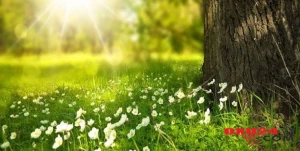 5 avqust tarixinə hava proqnozu