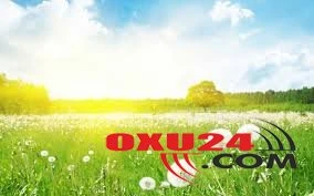 Güclü külək əsəcək.. - İstirahət gününün havası