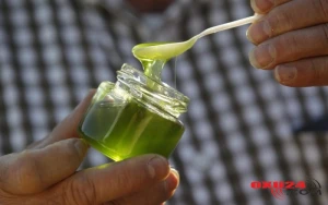 Cəmi 2 çay qaşığı və həyatın dəyişəcək – Xoradan tutmuş xərçəngə kimi Möcüzə təsir