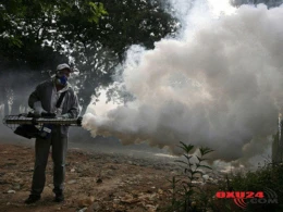 Ölümcül xəstəlik yüzlərlə can alıb